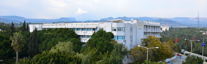 Genel Görünüm