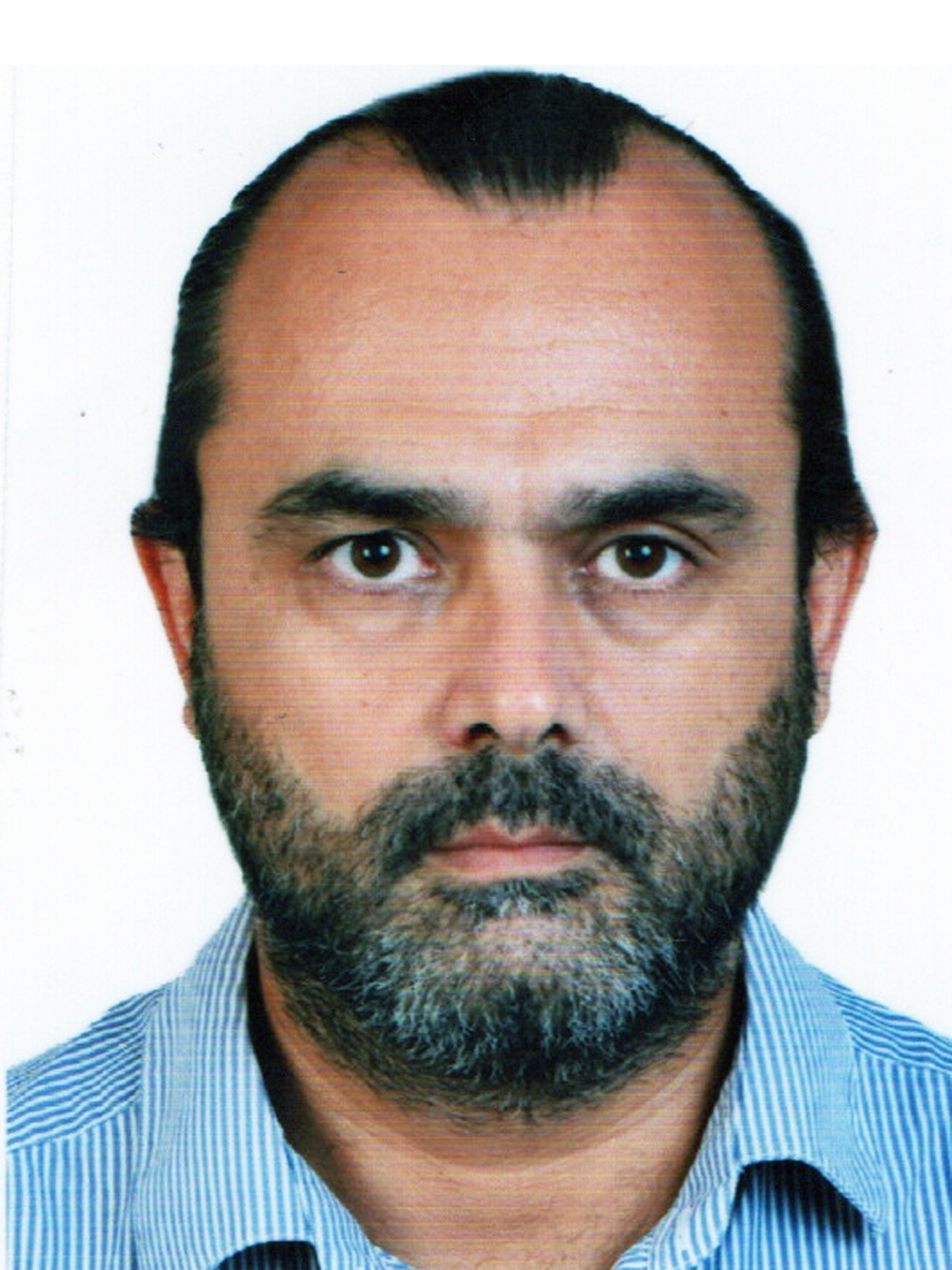 MURAT BURKAY BULGU