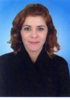 AYFER AKARSU