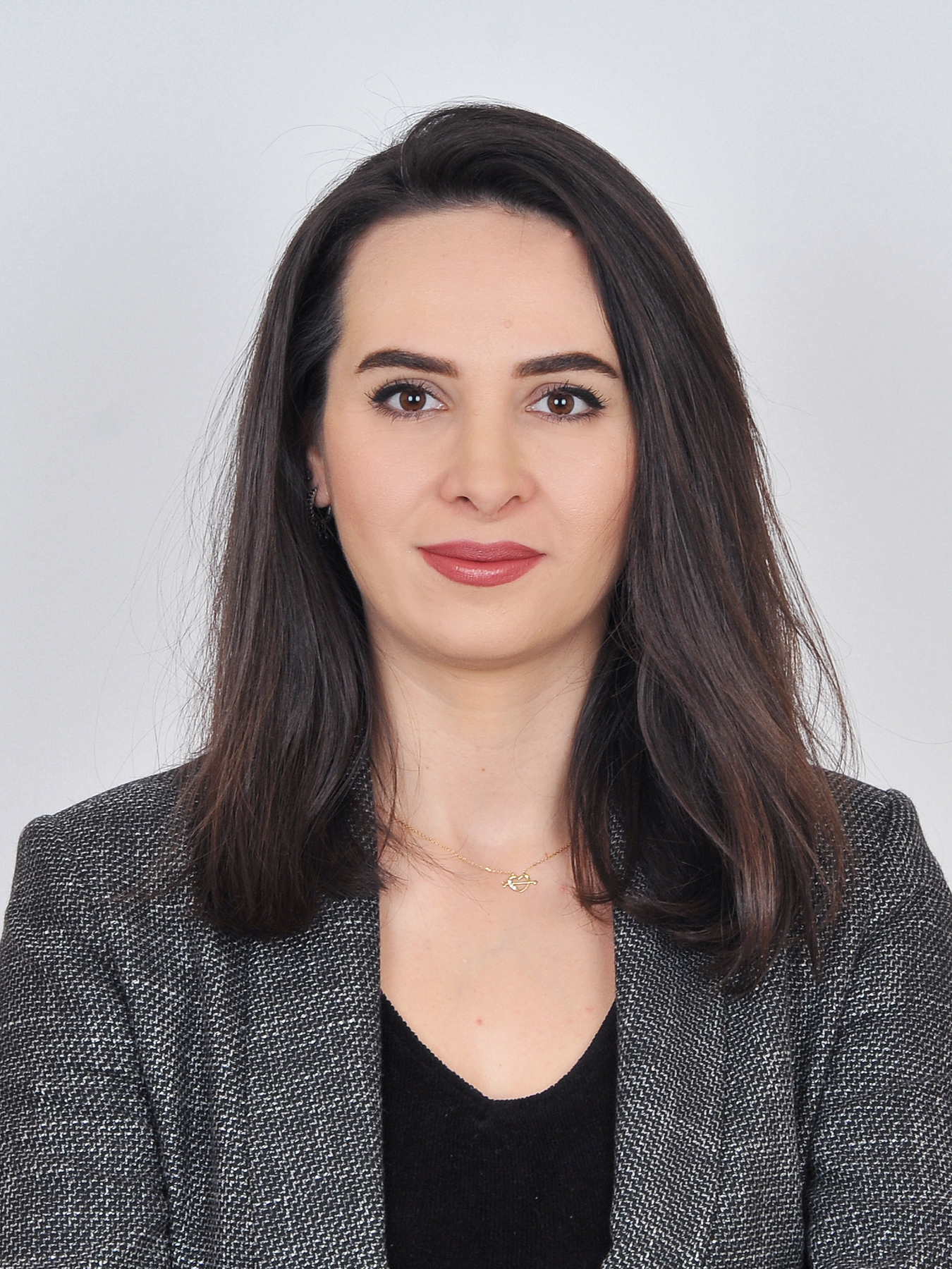 MEHTAP ÖZKAN BUZLU