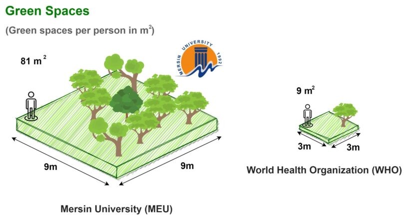 &Uuml;niversitemizde Kişi Başına D&uuml;şen Yeşil Alan  detayı için tıklayınız