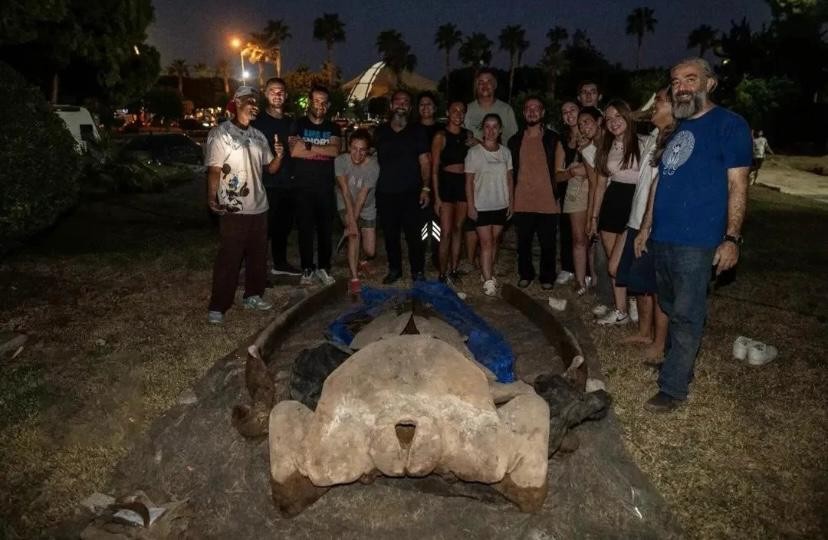 Mersin K&ouml;rfezi&rsquo;nde Hayatını Kaybeden 17 Metrelik Dev Balina,Birleştirme &Ccedil;alışmalarının Ardından Mersin &Uuml;niversitesi&rsquo;nde Bilimsel Sergi Nesnesi Olacak detayı için tıklayınız