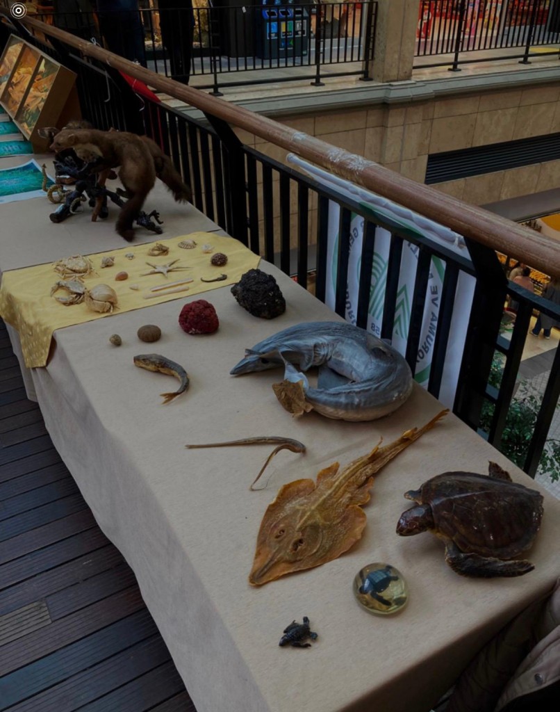 2 Şubat D&uuml;nya Sulak Alanlar G&uuml;n&uuml; detayı için tıklayınız