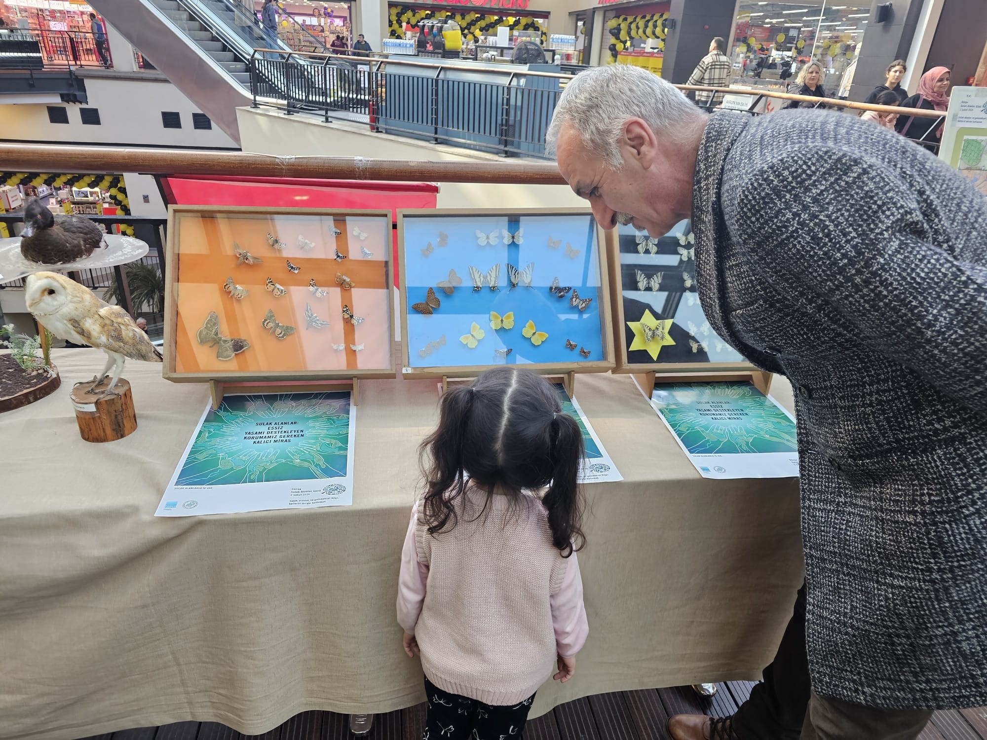 Biyoloji B&ouml;l&uuml;m&uuml;m&uuml;zden D&uuml;nya Sulak Alanlar G&uuml;n&uuml;&rsquo;ne Anlamlı Destek detayı için tıklayınız