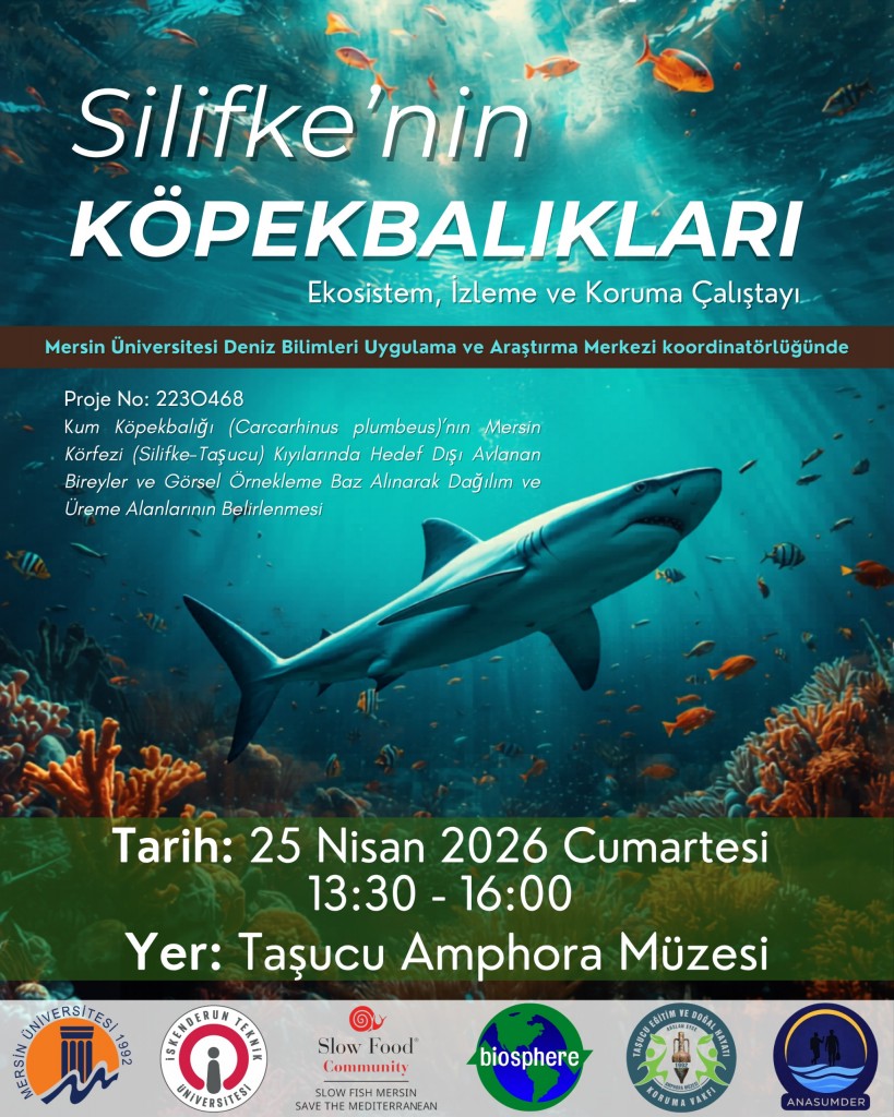 Silifke&rsquo;nin k&ouml;pekbalıkları İ&ccedil;in &ccedil;alıştay detayı için tıklayınız