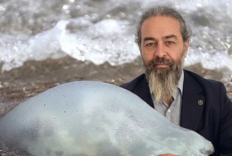 Mersin Kıyılarındaki Ekosistem Bozuldu, Denizanaları İstila Etti detayı için tıklayınız
